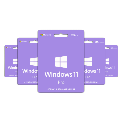 Windows 11 Professional 5 PCs