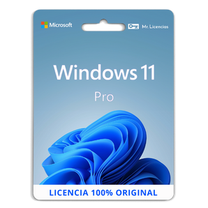 Windows 11 Professional